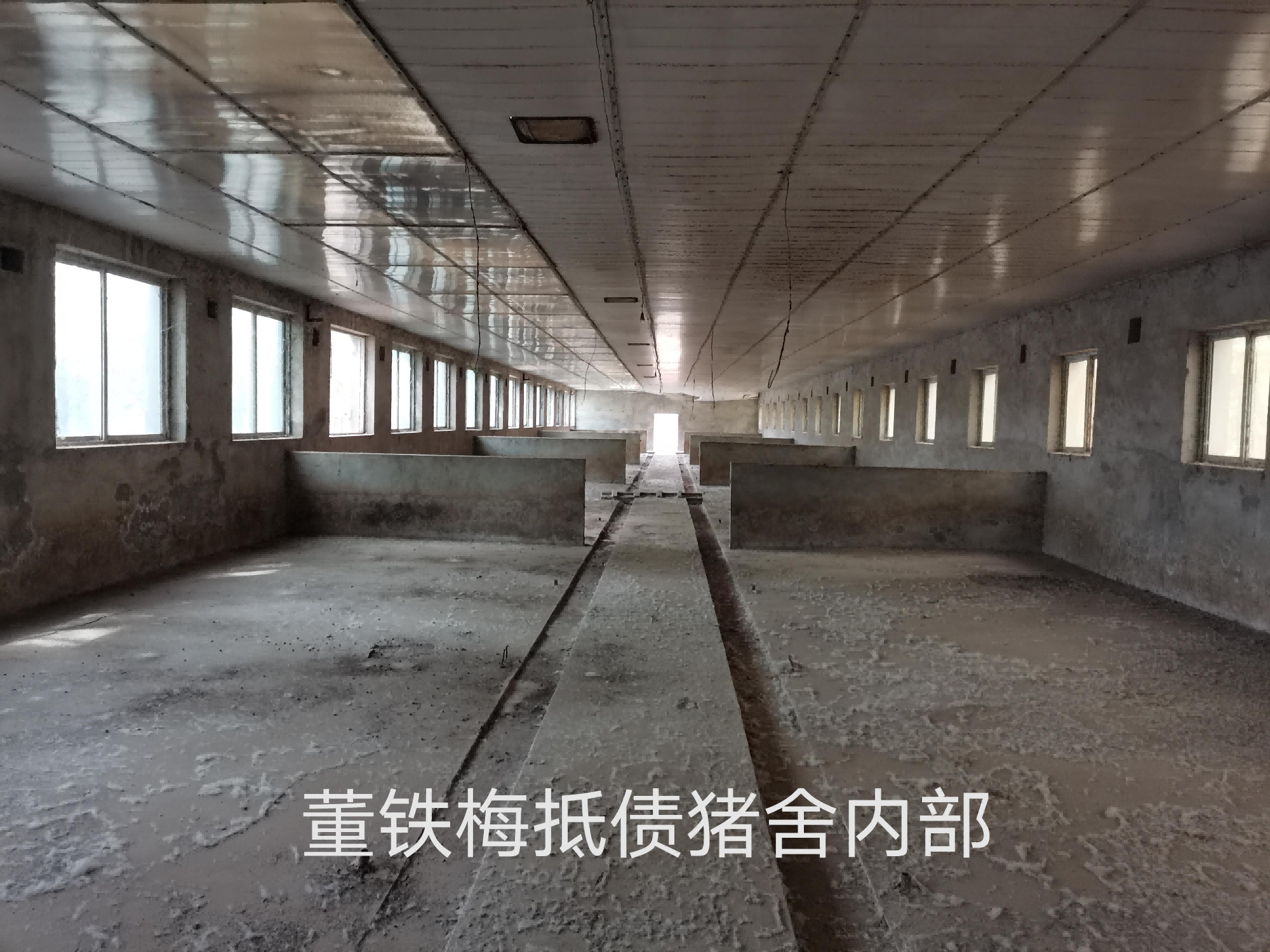 内蒙古自治区通辽市科左中旗保康镇科尔沁大街西郊鸿运标准化养猪场房产