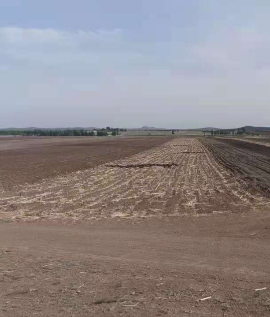 内蒙古通辽市扎鲁特旗香山五道井村农业用地